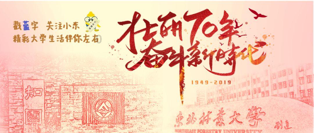 逃离古金字塔