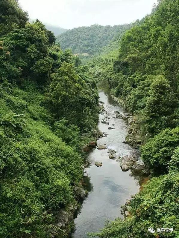 清理草坪